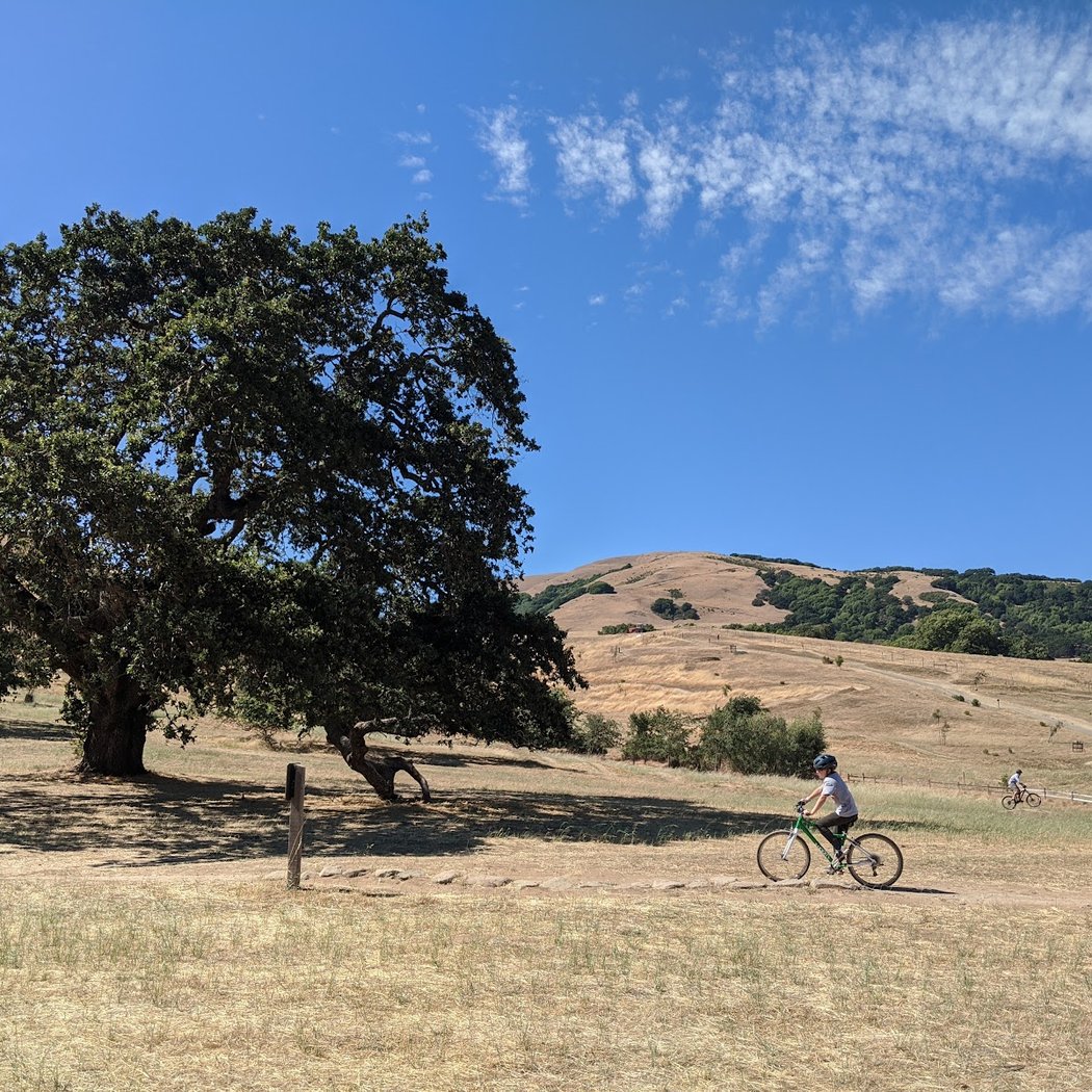 The 63rd Marin Century 1