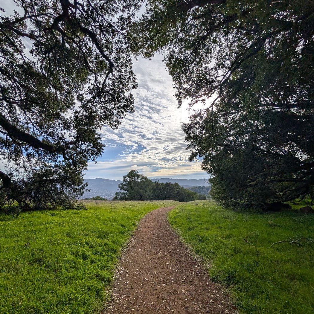 Mount Burdell Preserve 3
