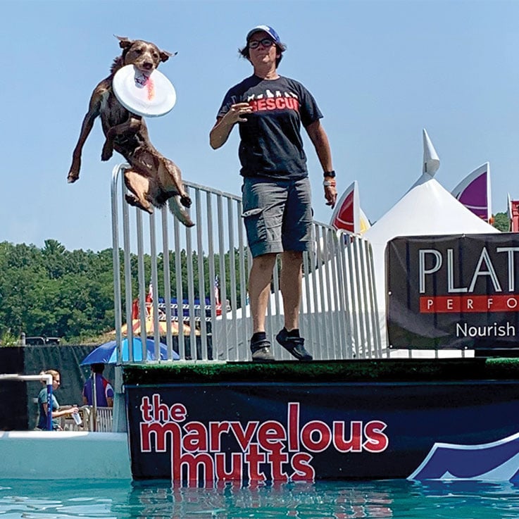 Marvelous Mutts Dog Show 1