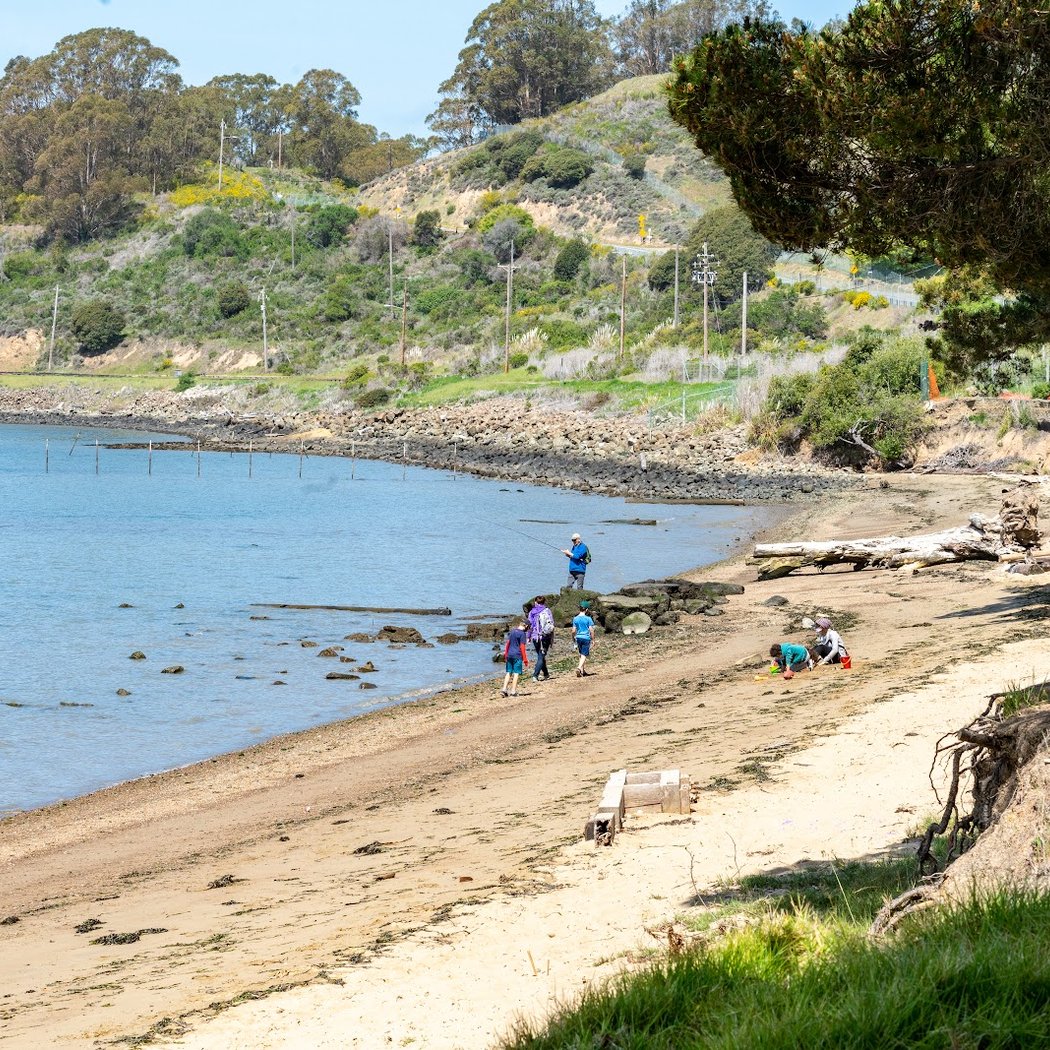 Point Molate Beach 3