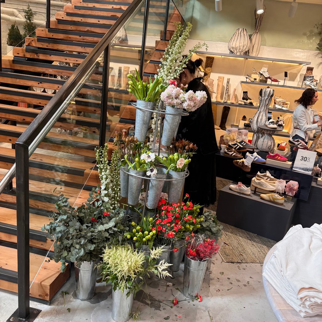 Anthropologie 3