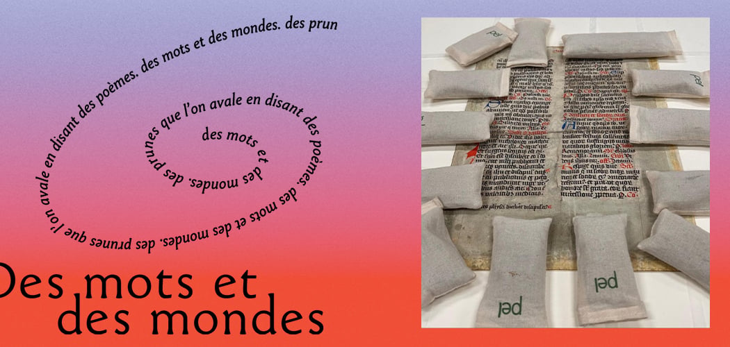 Autour de Des mots et des mondes - Performance and poetry readings 2