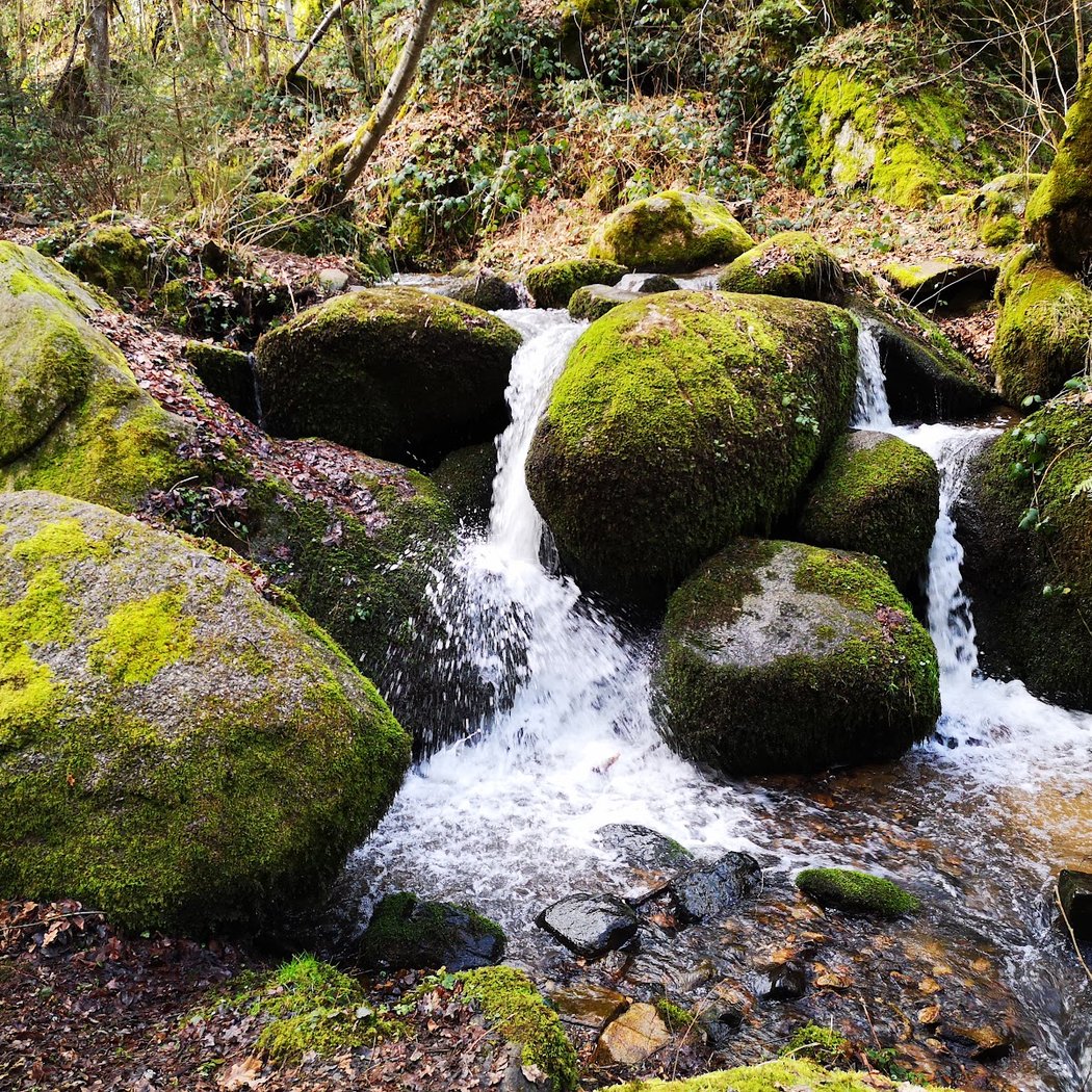 Gorges de Ceyrat 1