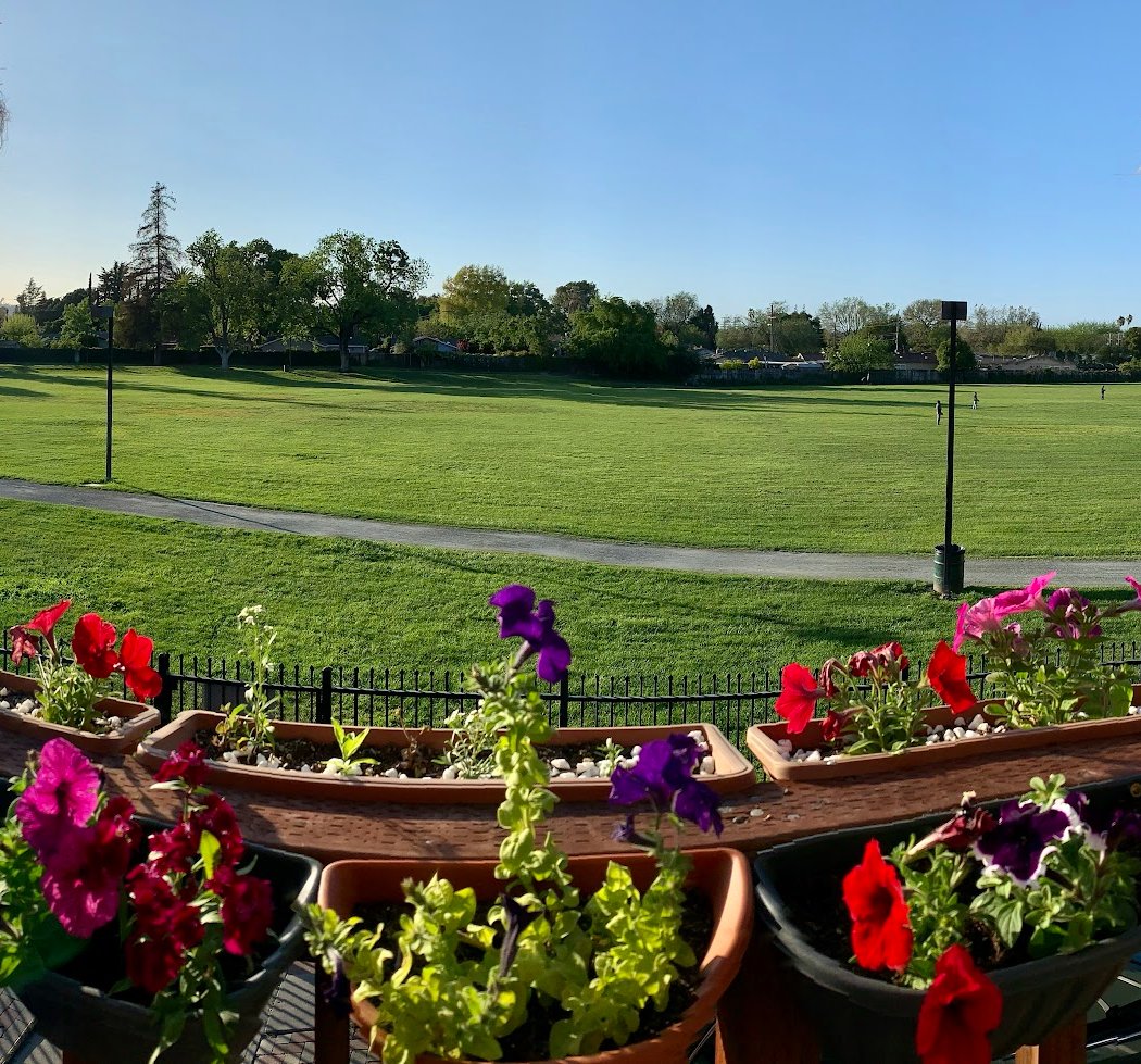 Cambridge Park 1