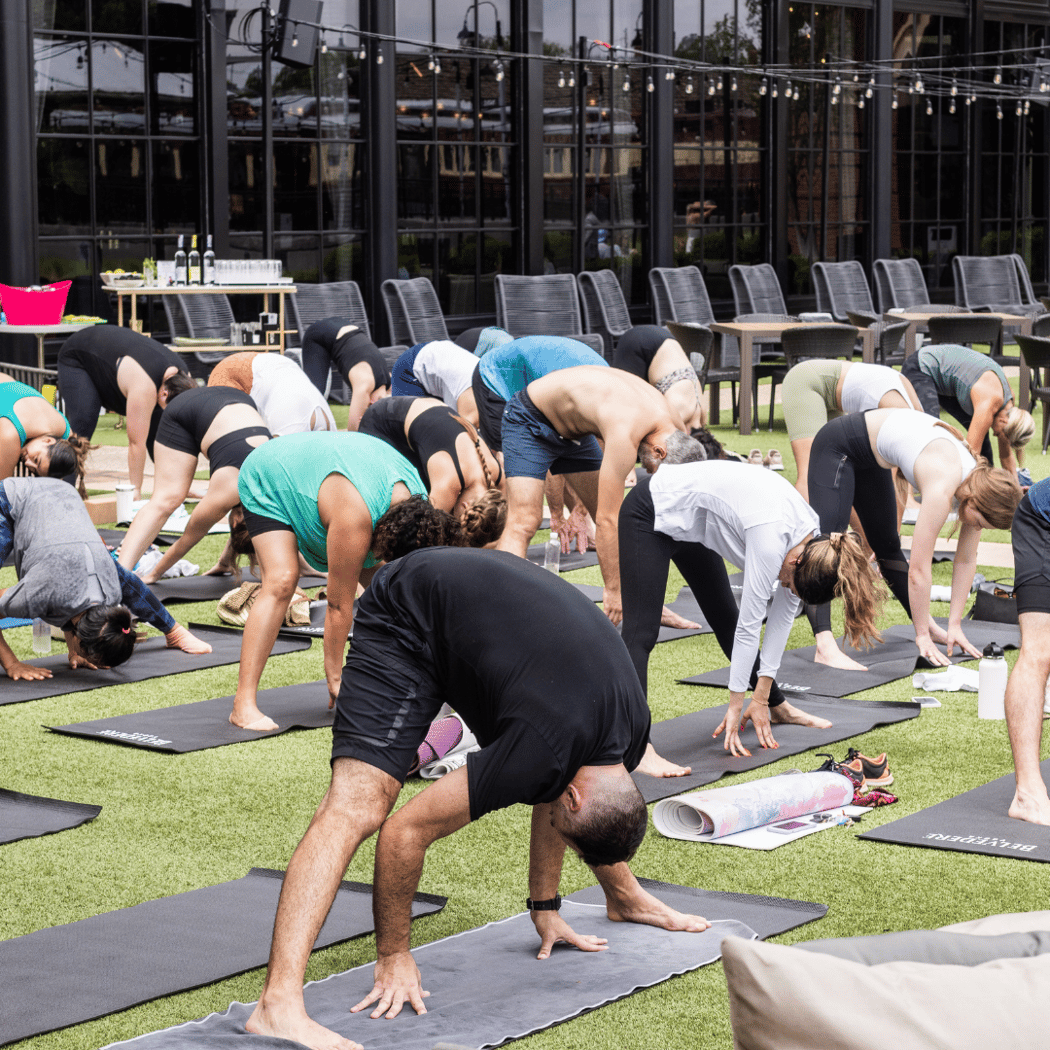 Vinyasa at the Vin 2