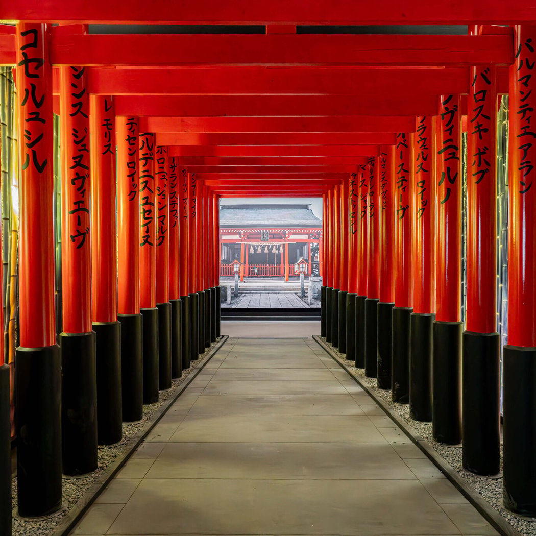 PASSION JAPON 3