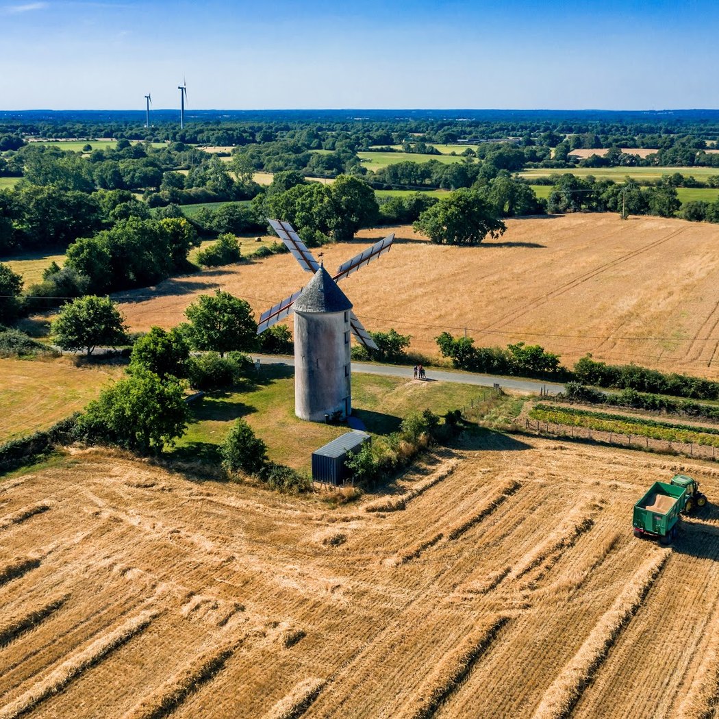 Visites libres ou guidées 1