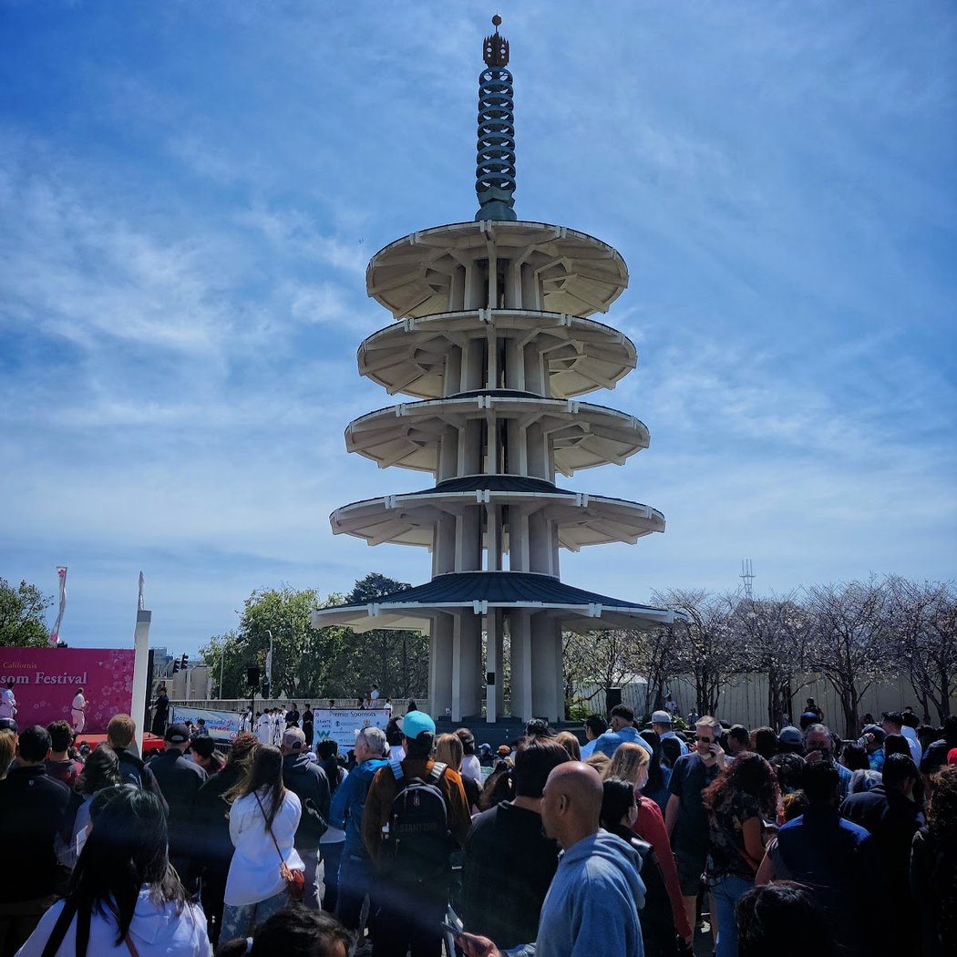 Northern California Cherry Blossom Festival 1
