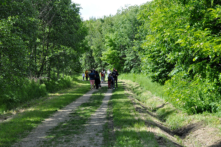 Parc Forestier du Bois de l'Étoile 2