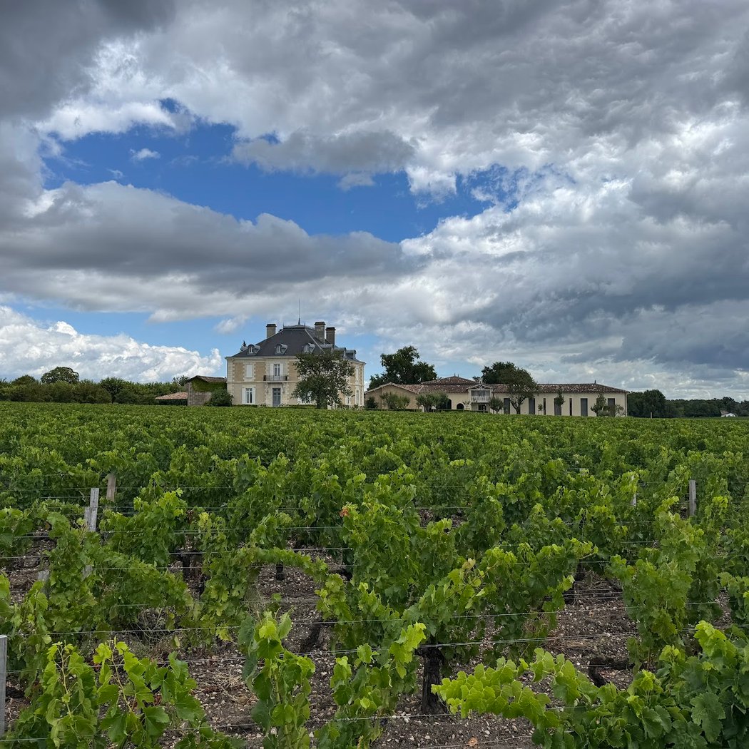 Mobilboard Pessac Léognan-balade en gyropode segway et trottinette électrique dans les vignobles de Bordeaux 4