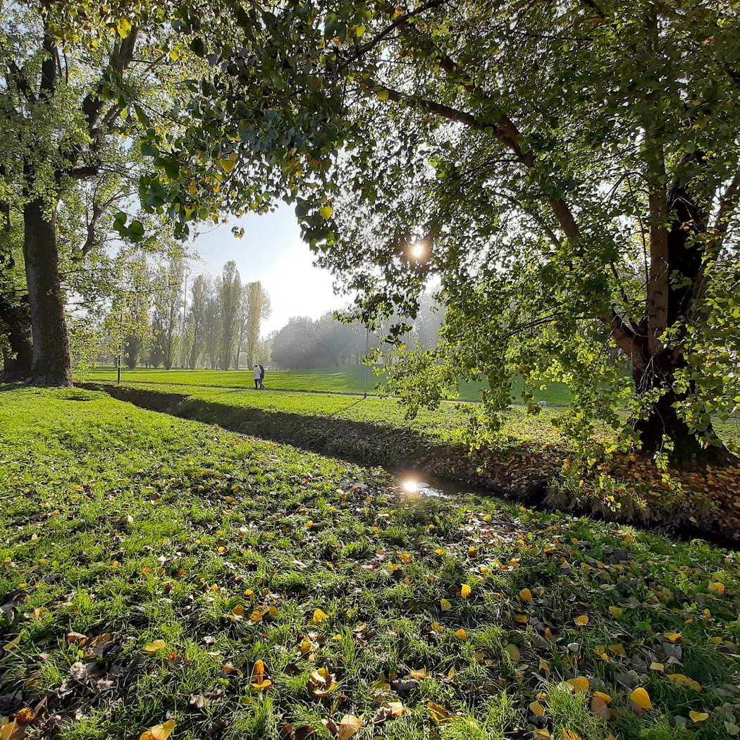 Parco Forlanini 4