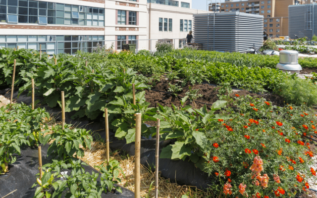 Forum Métiers en Agriculture Urbaine 1