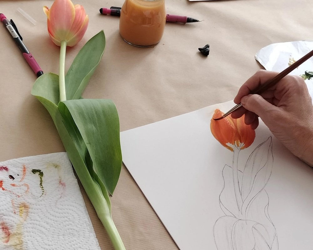 Workshop Ilustração Botânica 1