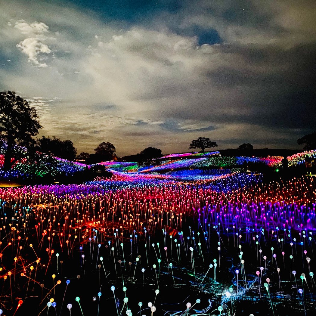 Field of Light 3