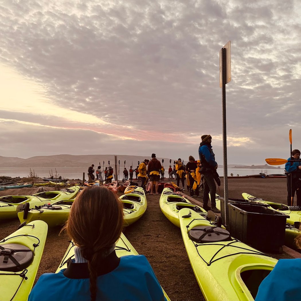 Blue Waters Kayaking – Tomales Bay Tour 3