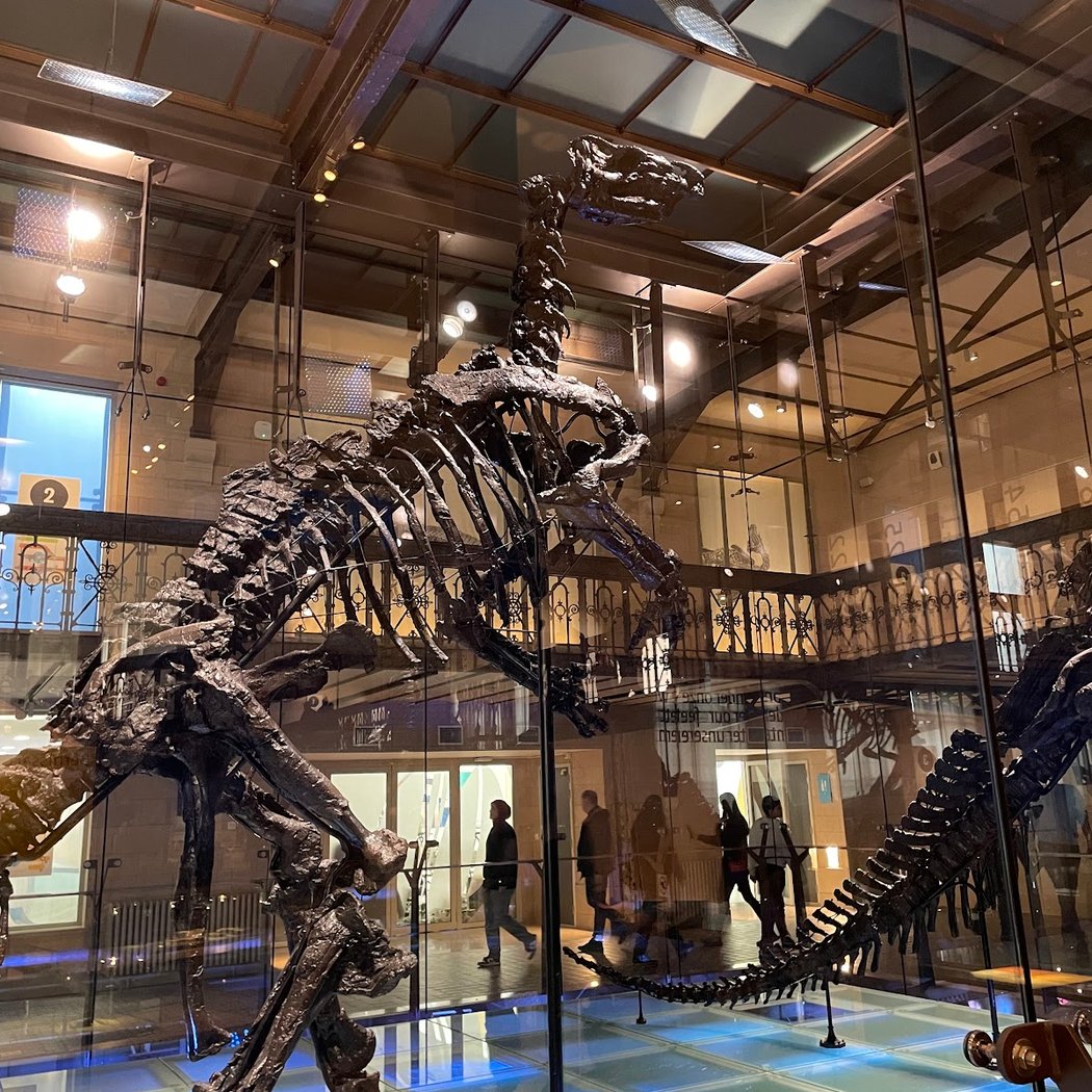 Royal Belgian institute of Natural Sciences 2