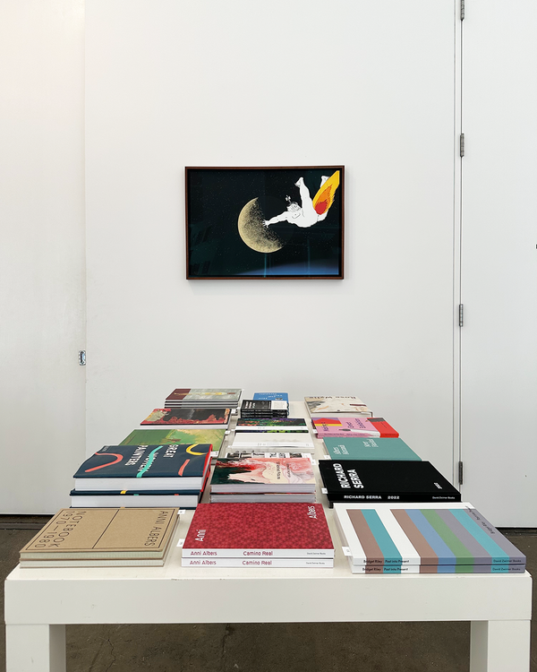 David Zwirner Books Shop 1