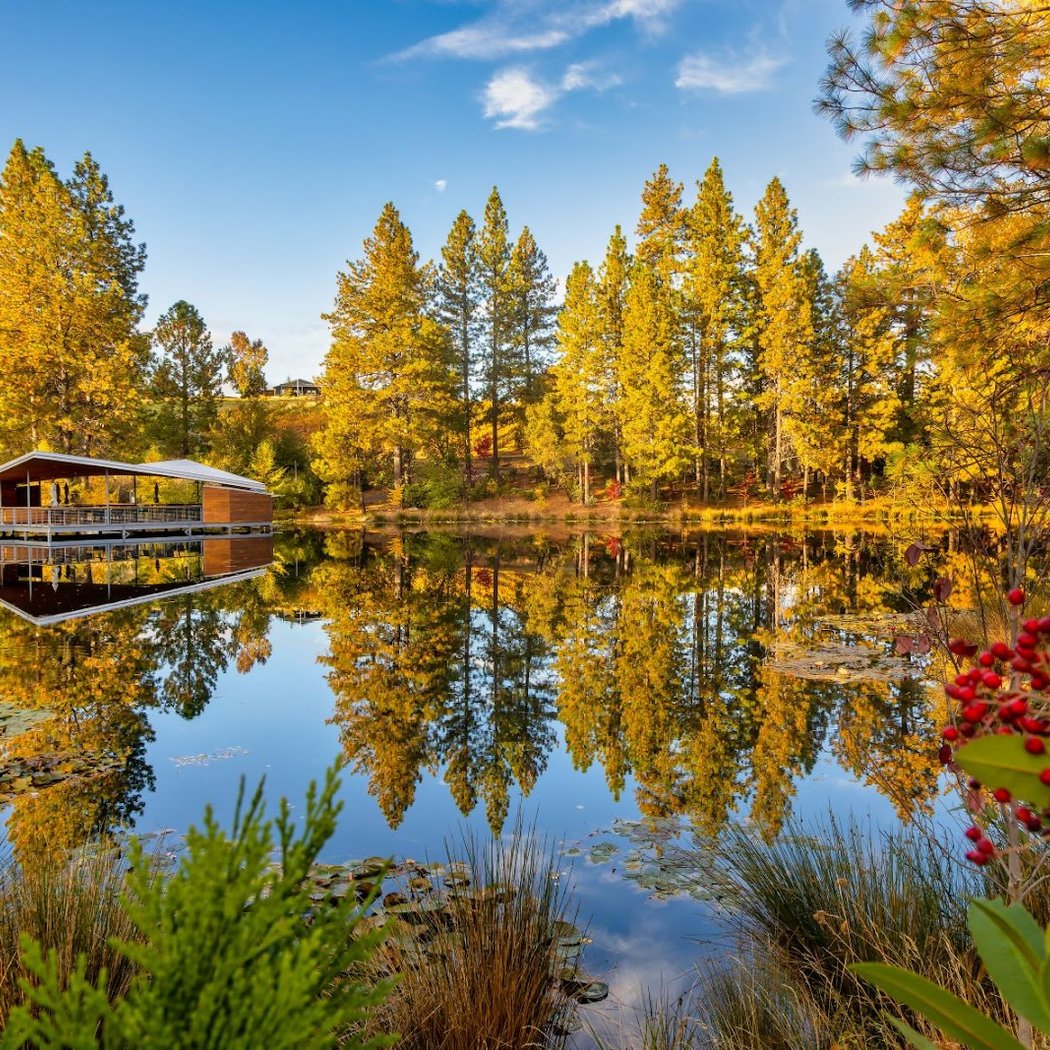 Starfield Vineyards & Winery 1