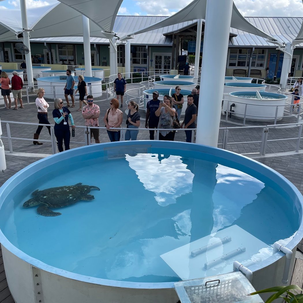 Loggerhead Marinelife Center 1
