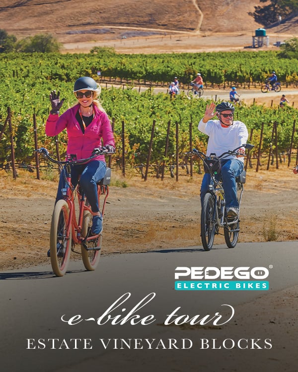 Estate Blocks E-Bike Tour 2