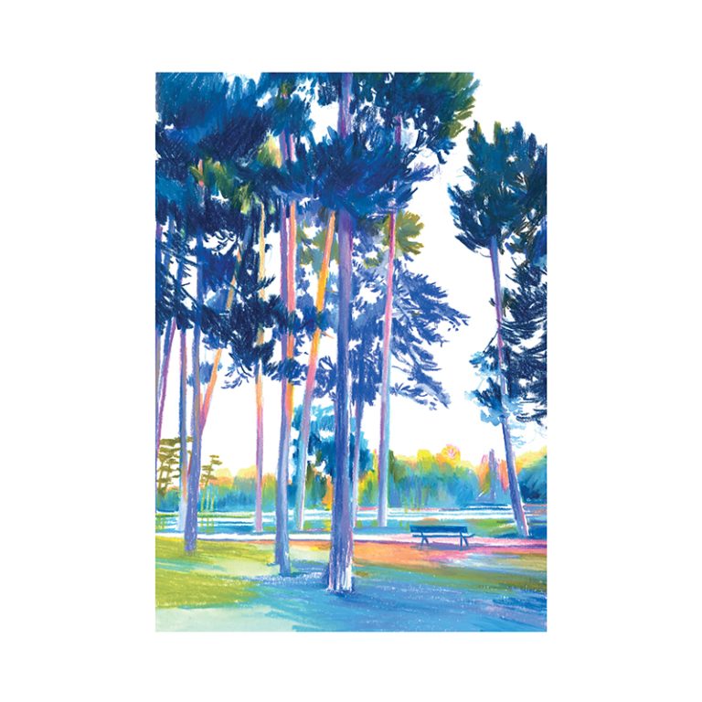 Jardin en Lumière 3