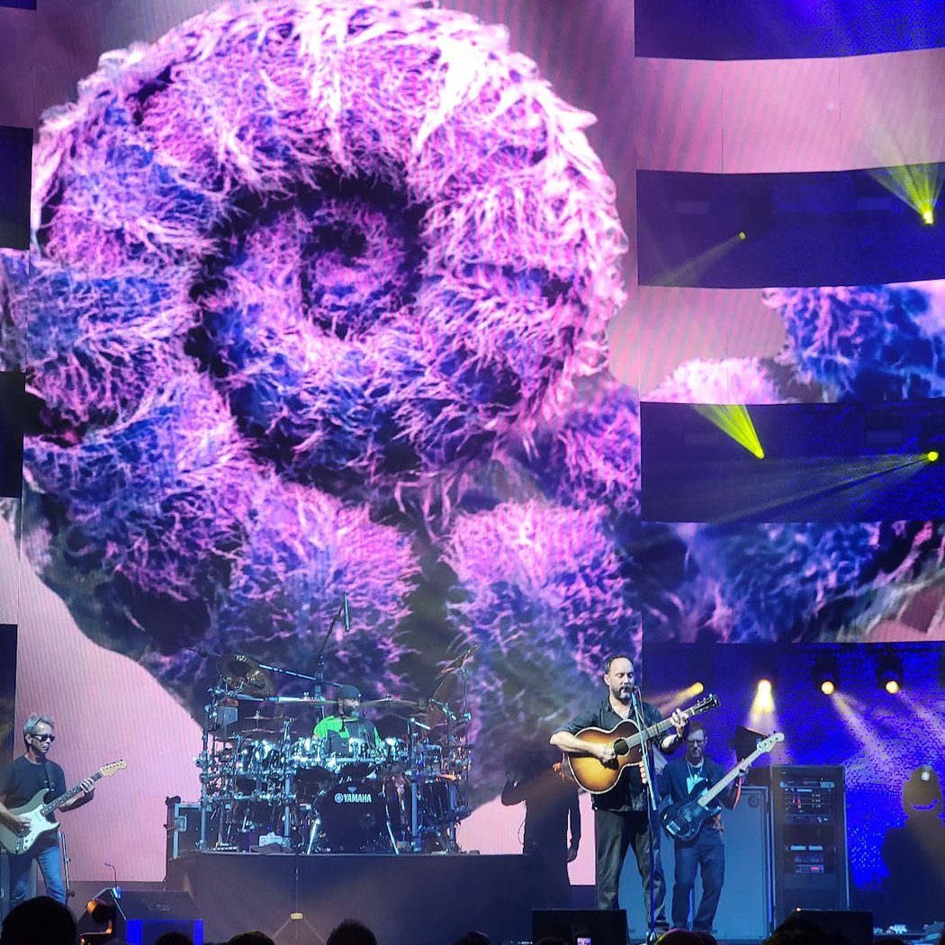 Ameris Bank Amphitheatre 3