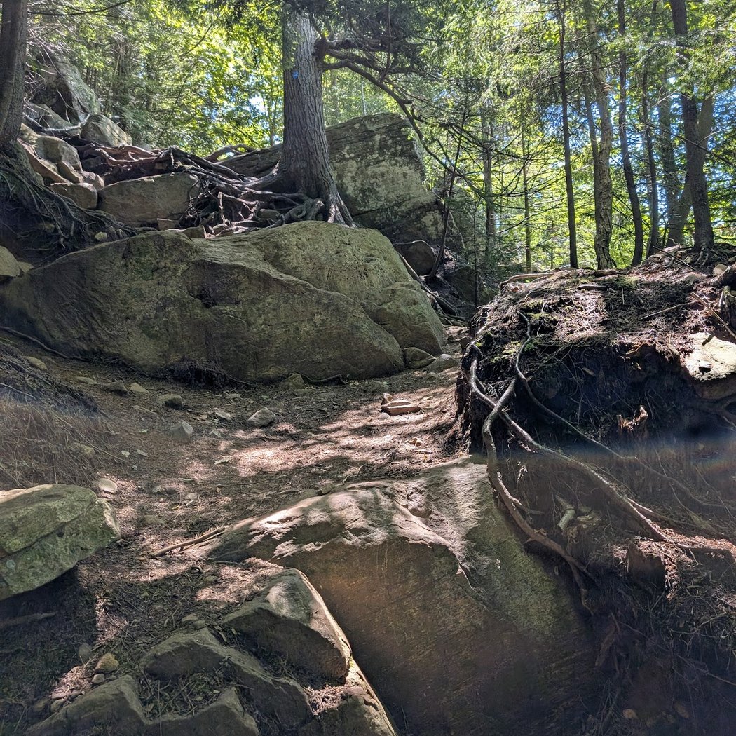 Echo Cliffs Trailhead 3