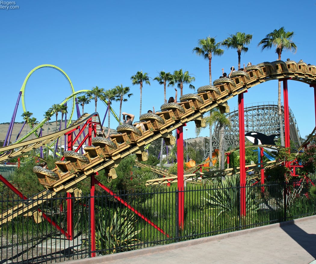 Cobra 1