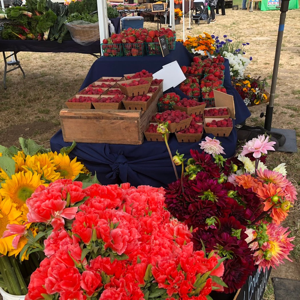 Pescadero Grown Community Farmers' Market 2