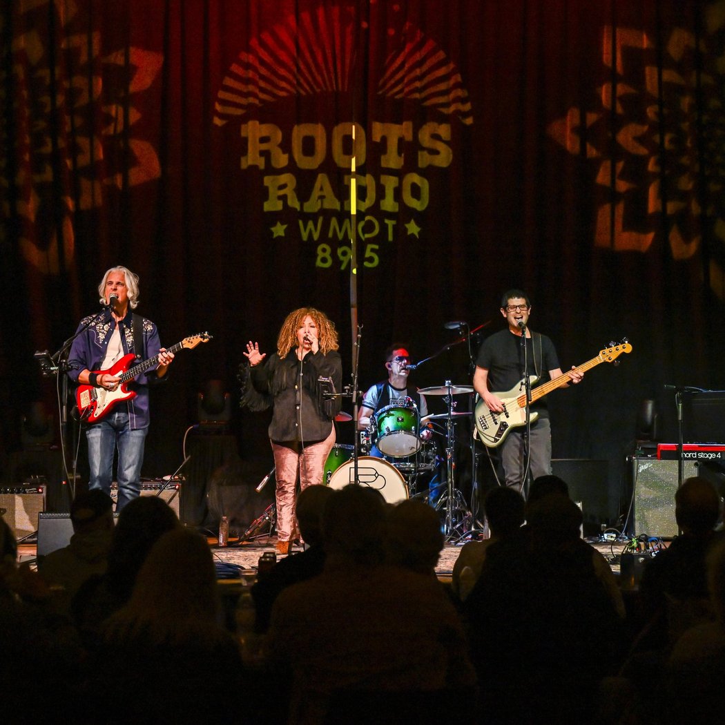 Wreckless Strangers Live at Breckenridge Brewery 3