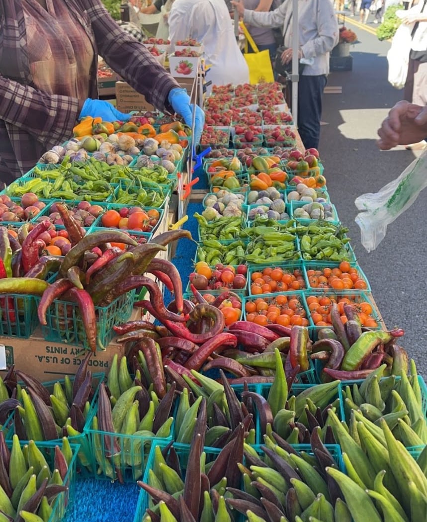 Farm Fresh Cooking to Prevent Food Waste Spring Series 1