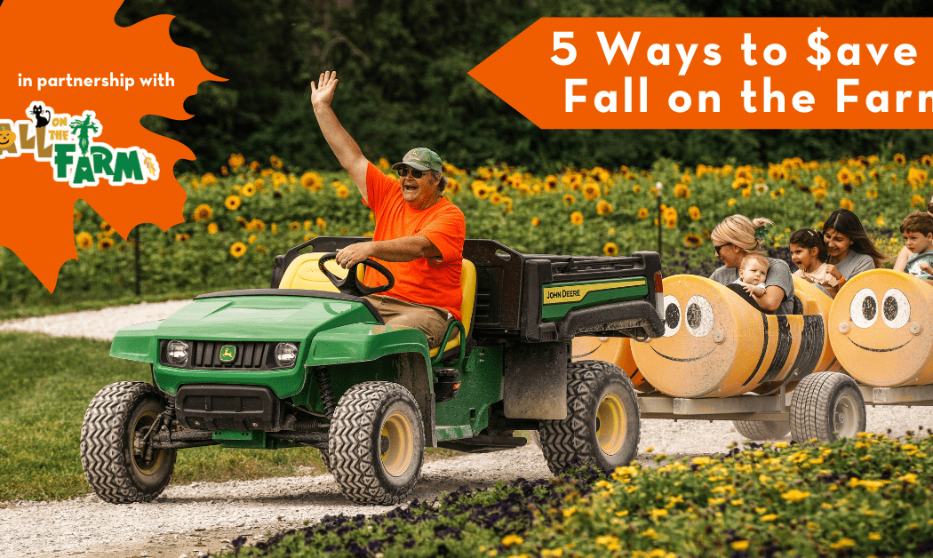 Fall on the Farm 2