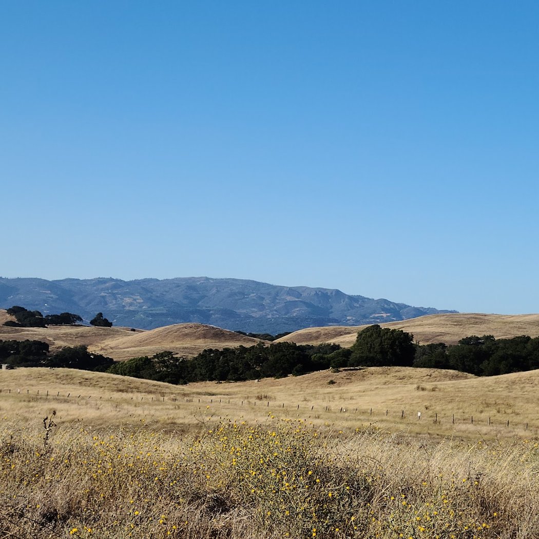 Tolay Lake 1