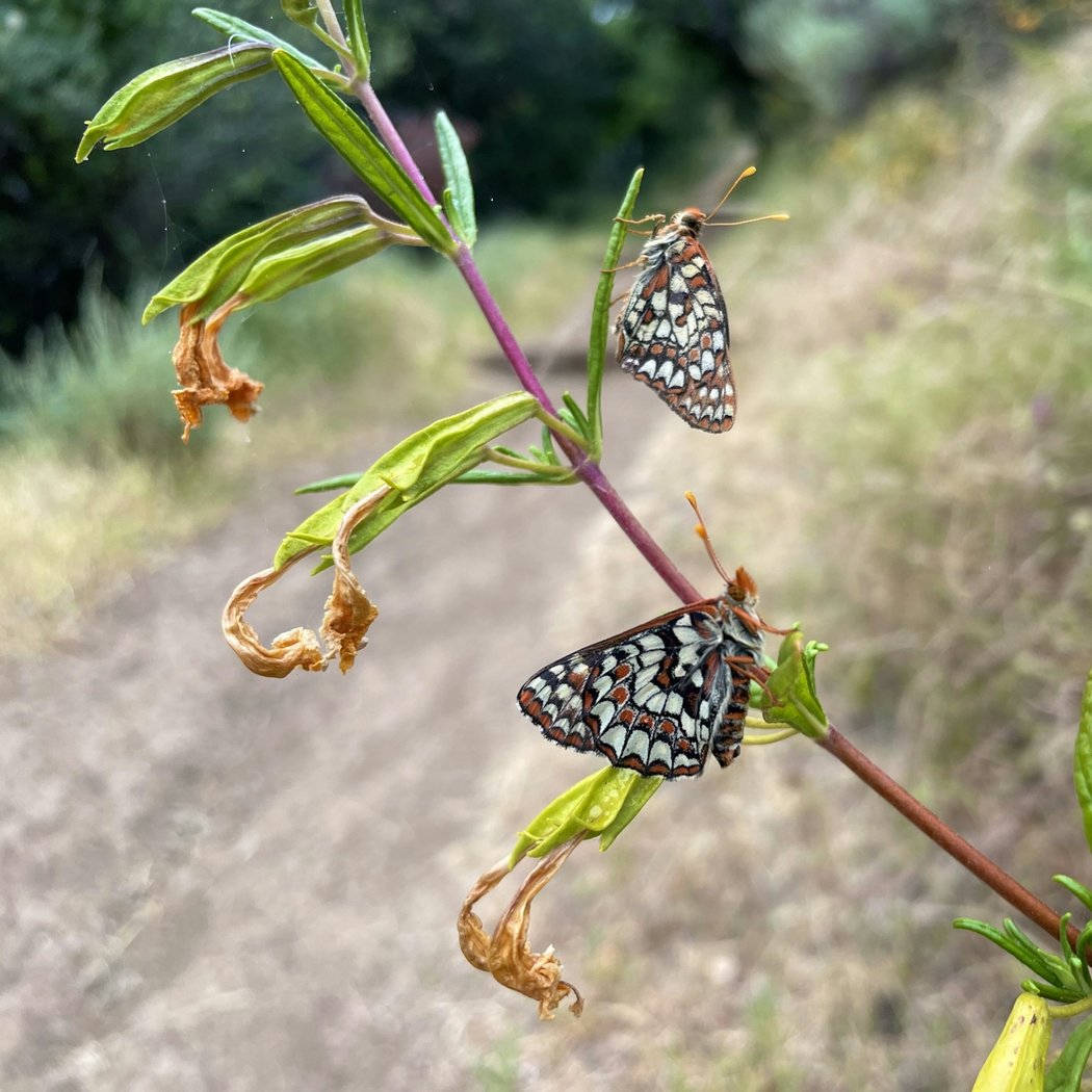 Alum Rock Park 3