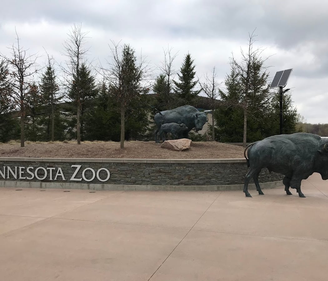 Minnesota Zoo 2