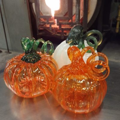 Pumpkin - palooza (November) 1