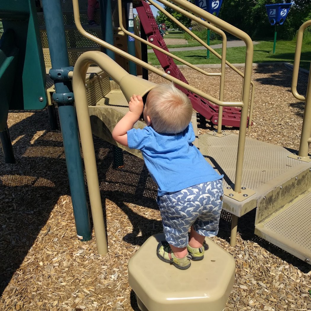 Dexter Community Park 3