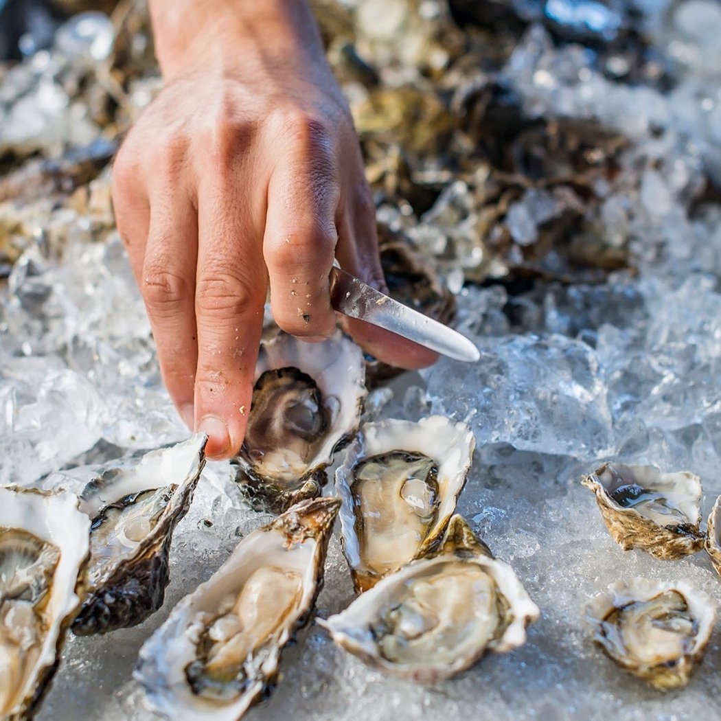 Hog Island Oyster Co. Masterclass at The Post Room