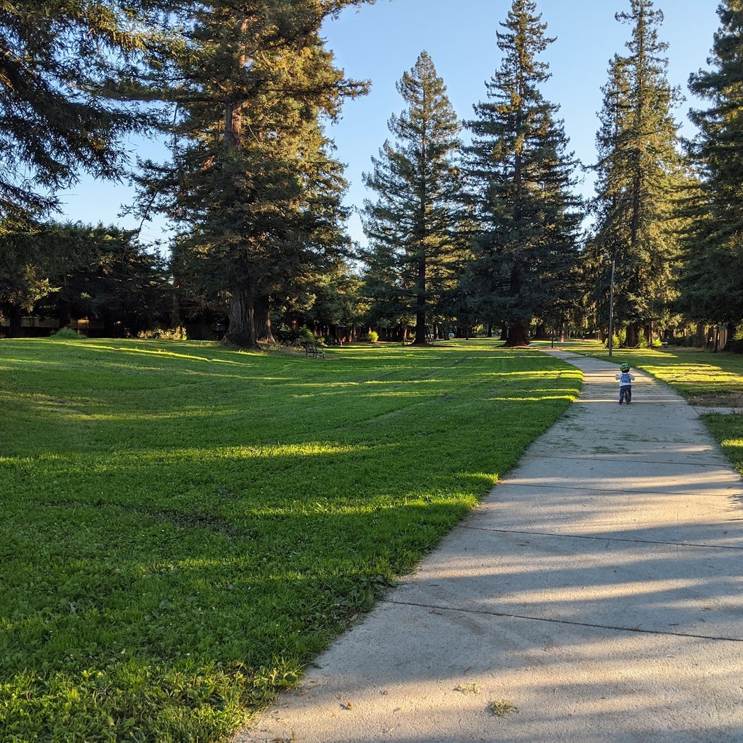 Saratoga Creek Park 2