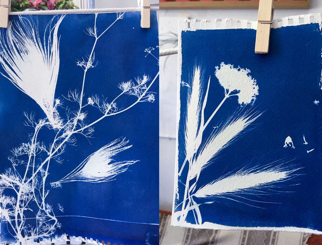 Intro to Cyanotype Printing: Sun Prints and Nature Designs on Paper and Fabric 1