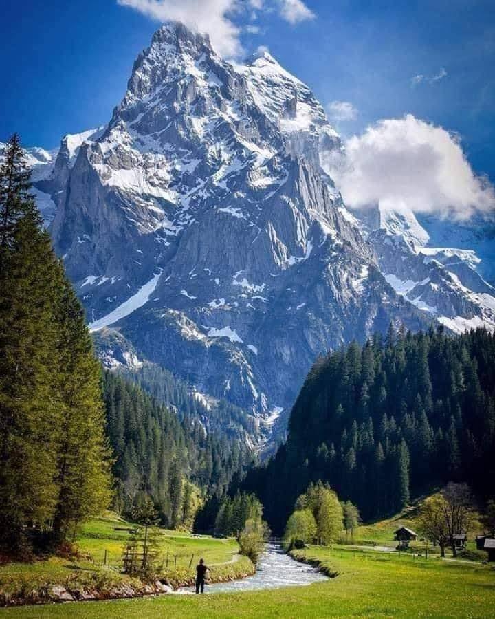 Swiss Alps 1