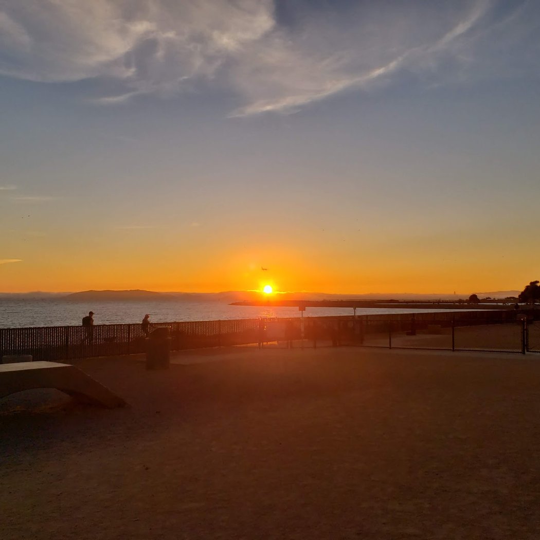 Marina Dog Park 1