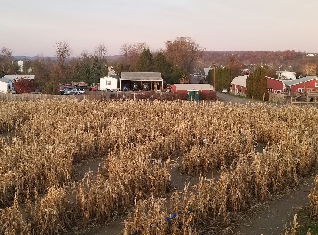 Barton Orchards 2