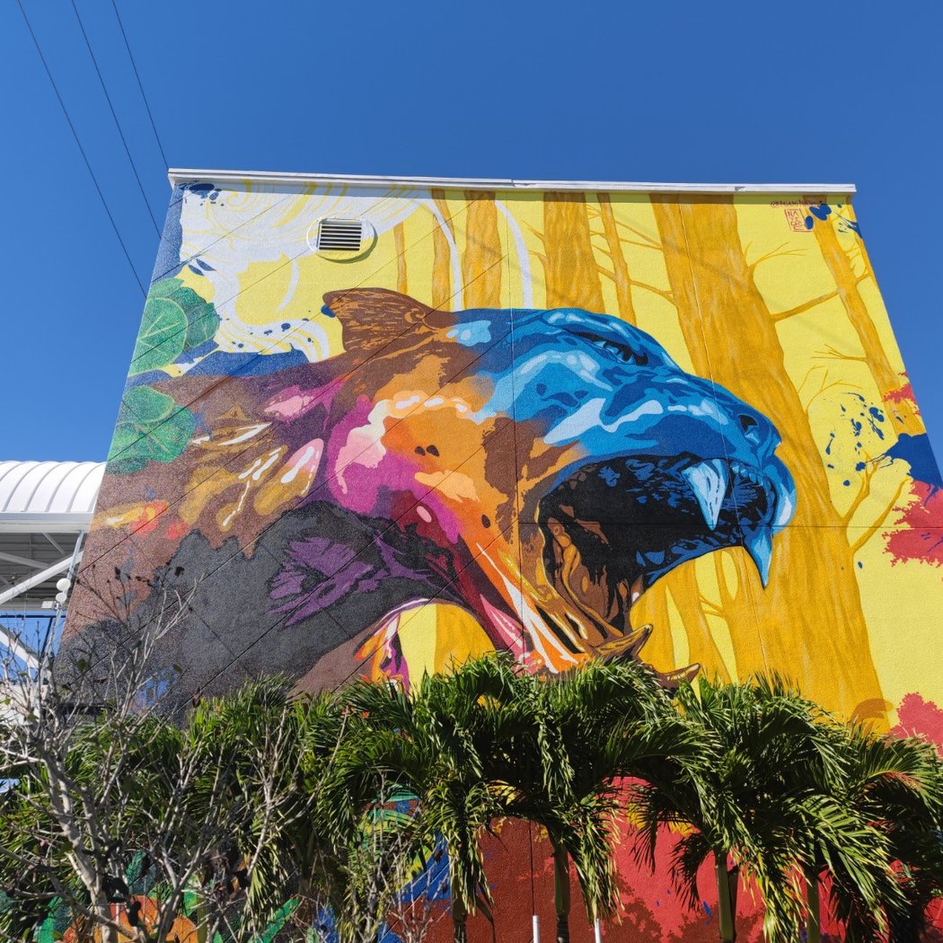 Wynwood 1