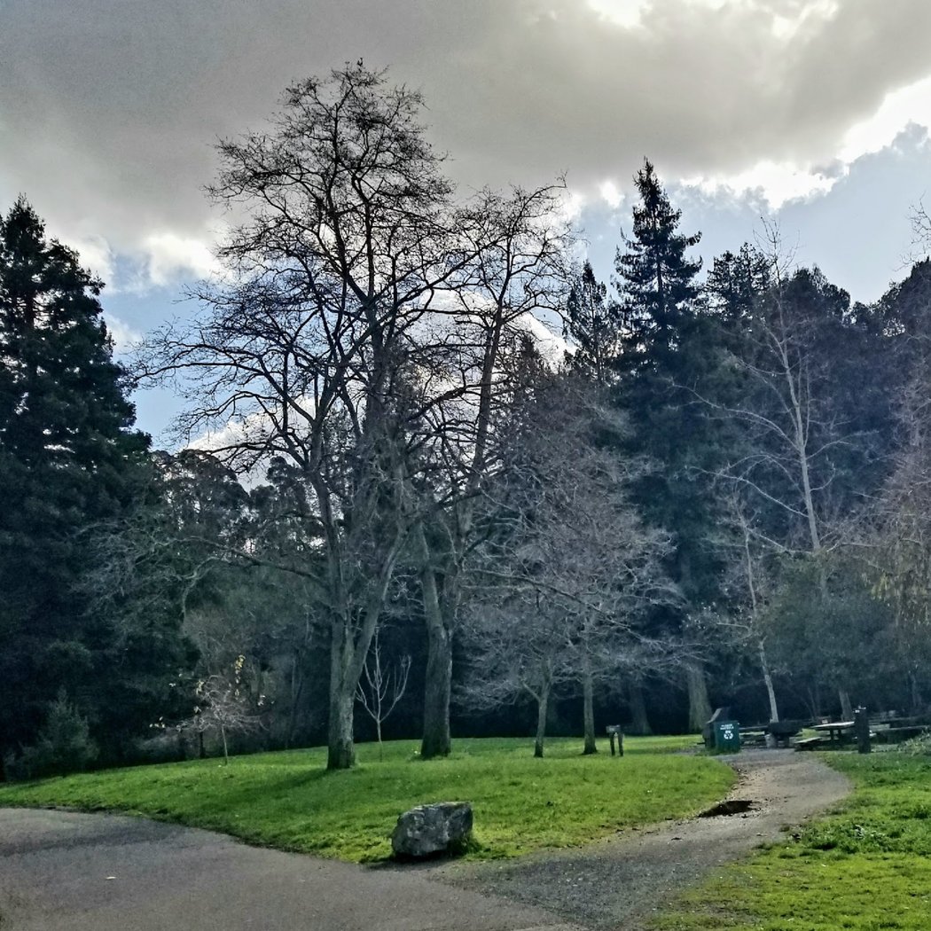 Big Rock Picnic Area 3