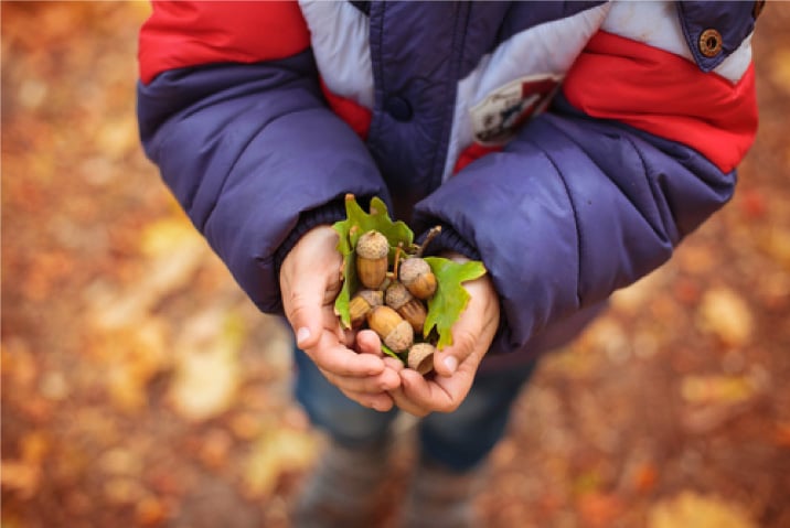 Kew Kids Forest School 1