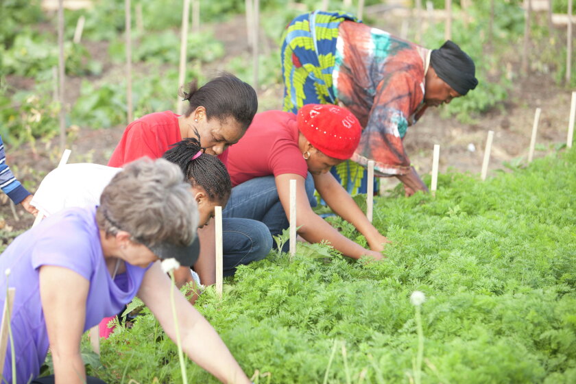 Help in a Garden with YLD & TOV 2