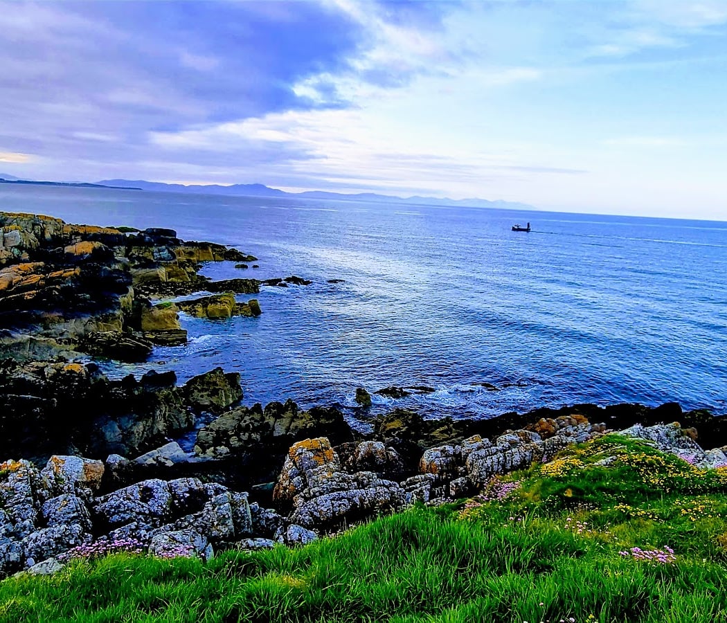 Clogherhead Cliff Walk 1