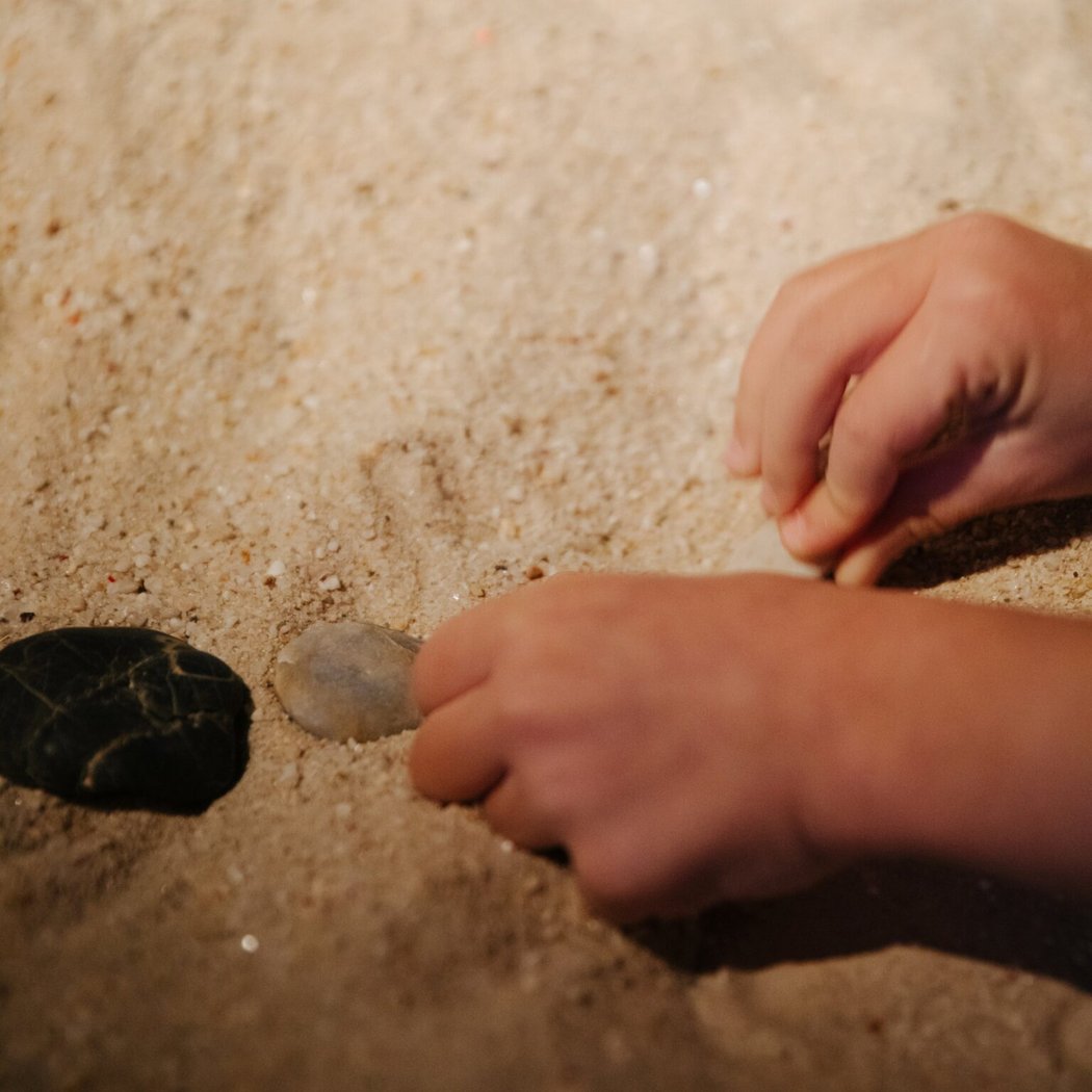 Mes petits trésors 1