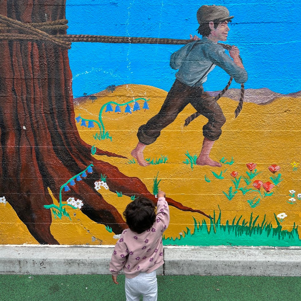Primrose Playground 3